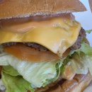 가래비길 | 양주 내돈내산 맛집 임어전씨 수제버거 양주광적점 메뉴 순위