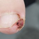 강동이엠365의원 이미지