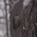 2월정기 시산제 산행 이미지