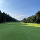 현충원로(유성-19) 이미지