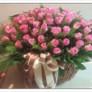 샤론의꽃 이미지