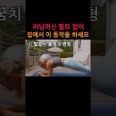 플랭크 매일 하면 이런 일이 벌어집니다 이미지