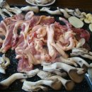 나눔터 오리 이미지