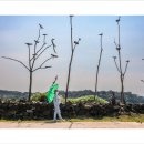 연천호로고루 이미지