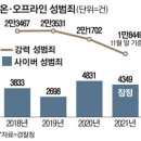 "내 아바타 성폭력 당했어요"…메타버스서도 사이버 성범죄 활개 이미지