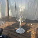 딩동댕애견스파풀빌라 | 가평 애견동반 펜션 "딩동댕애견스파풀빌라" 내돈내산 개별운동장 카라반러브