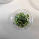 교리우동 이미지