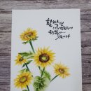 플러스펜 수채화 캘리그라피 이미지