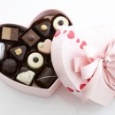 (주)국제팝업북아트협회 이미지