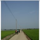 신향주유소 | [20090704]김포 둘레길(하성면 마곡사거리~고촌면 평교다리) 도보탐사 - 3