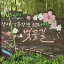 맥도생태공원제방변 | 1532.강서 낙동강변 30리 벚꽃길/부산여행/부산 가볼만한곳