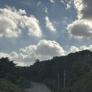 은행마을공원 화장실 | 충남보령 2025년 가을축제 청라은행마을 11월 너랑노랑은행마을축제방문,당일치기여행 추천