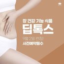 로뎀 인셀덤