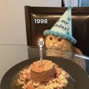 한홍 | [daily]12월 연말 트리사냥