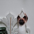 인형나라 이미지