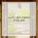 소나무경영컨설팅
