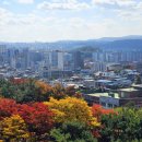 미성한우 | 대구 수성못에 가면 꼭 먹어야 하는 내돈내산 찐 복어요리 맛집, 원조 미성 복어 🐡