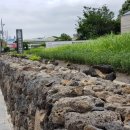 제주추사관 이미지