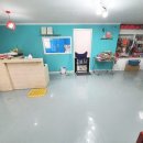 개편한 애견미용 이미지