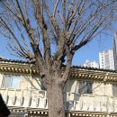 동래향교 이미지