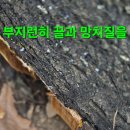 좋은산행