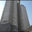 도램마을18단지 네이버블로그