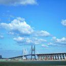 꽃지가는길 이미지