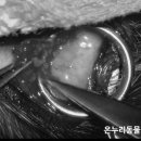 이소메디칼 이미지