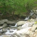 꿈에궁전 이미지