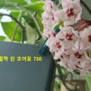 호야 - 하남시 하남대로 843 | 호야