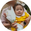 세송이꽃 | 주안 꽃집 추천, 오월의 꽃 한두송이 세다발 내돈이용후기