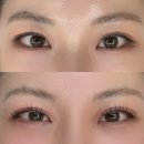 조양세탁 | [강남] 베벨르뷰티 삼성점 속눈썹펌성지 유목민 정착지(내돈내산)
