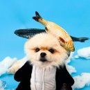 경기도 수원시 장안구 하률로12번길 이미지