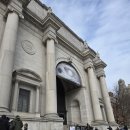 화석 2002 | 네츄럴 히스토리 American Museum of Natural History, 봐야하는 전시, 무료 입장법, 가격, 도슨트 후기