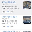 모던복싱 이미지