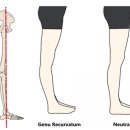 짐앤테라피 피티 이미지