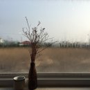연이네 행복상점 | [4박 5일 제주, 평생 동기와 함께] D4, 여행의 묘미