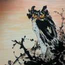 부엉이 농장 이미지