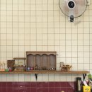 라오삐약 이미지