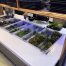 성덕포남로 이미지