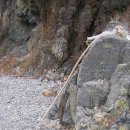 봉오리산(峰吾立山). 神仙臺. 白雲浦海岸(4) 이미지