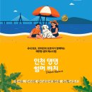 별빛바다 | [인천 을왕리] 인천 댕댕썸머비치 한눈에 보기