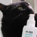 우리 덴탈랩 이미지