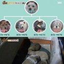 희대농장 이미지