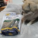 덴탈메인 이미지