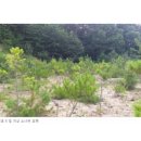 문동2리경로당 이미지