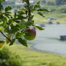 덕곡낚시터 이미지