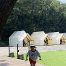 1361 | 용인 캠프1361 셀프 바비큐장 이용 솔직후기 - 키즈 캠핑장, 캠크닉