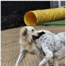 낙원유치원 이미지