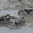 할매식당 이미지